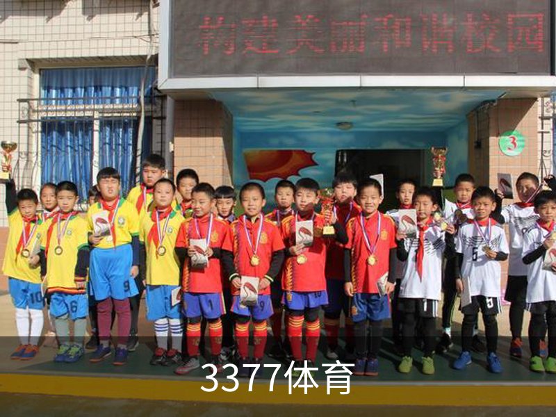 关于3377体育